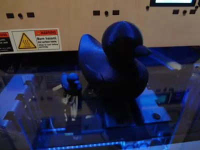 Rubber Ducky Free 3D model
