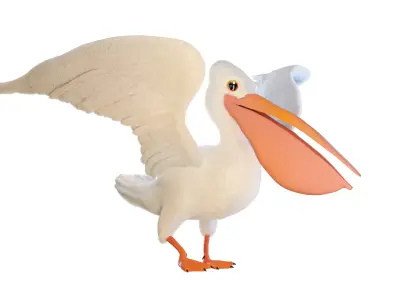 Pelican 3D model purchase