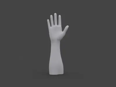 HAND-009 Right Hand Low-poly 3D model