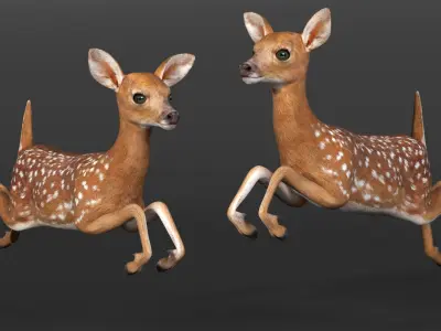  Leaping White-Tailed Fawn Deer 