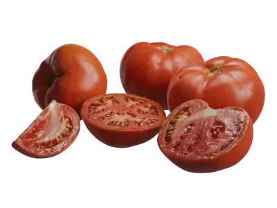  Tomato Models 