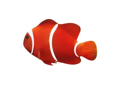 Low-Poly Clown Fish Animated  Low-poly 3D model