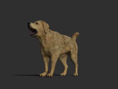 Dog rigged and animated 3D model