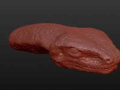 Snake Head 3D model