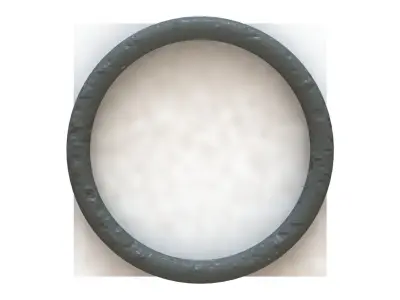 O Ring Vedabras 13012 3D model