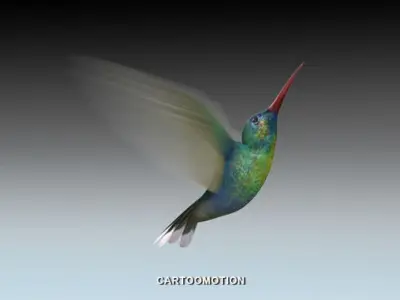 Animated Birds Low-poly 3D model
