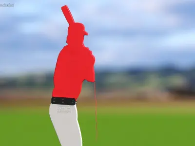 Baseball Pitching Dummy Red 3D model