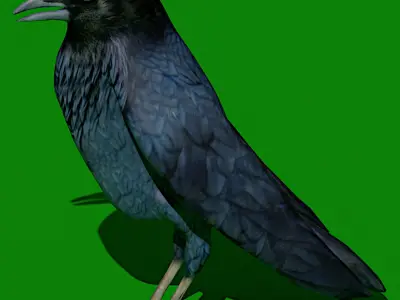 Low poly raven Low-poly 3D model