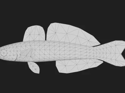 Bass fish Low-poly 3D model 13