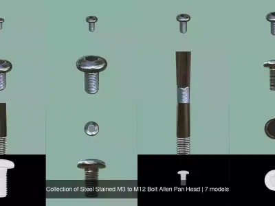 Collection of Steel Stained M3 to M12 Bolt Allen Pan Head 3D Model Pack