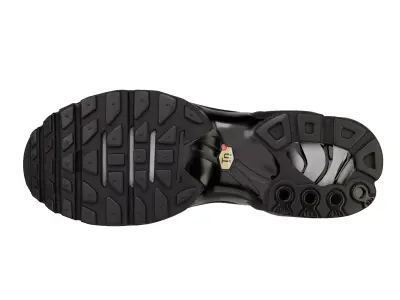 Nike Air Max Plus Black Shoe 3D model