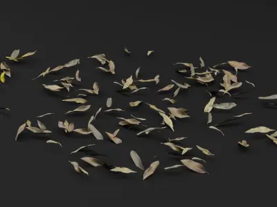 Dead Leaves  3D model