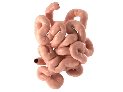  Small Intestine PBR 