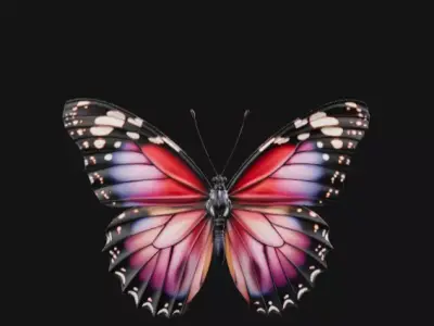 colorful butterfly  Free 3D model