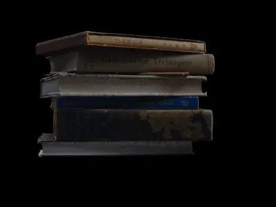 Stacked Books 3D model