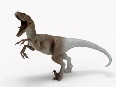 Realistic Velociraptor Rigged 3D Model Low-poly 3D model