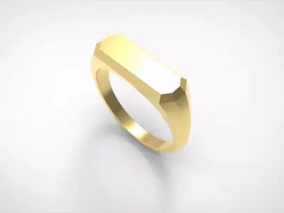 Signet ring Special 3D MODEL 3D print model
