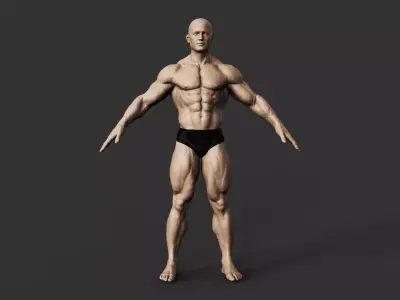 Bodybuilder 3D print model order