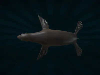 SEAL-001 Rigged Seal 3D model