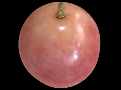 Grape01LowPoly plum Low-poly 3D model