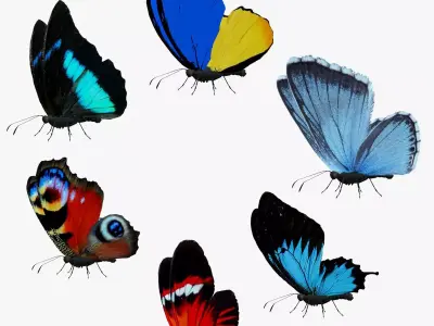 Butterfly Collection Pack 13-18 Low-poly 3D model