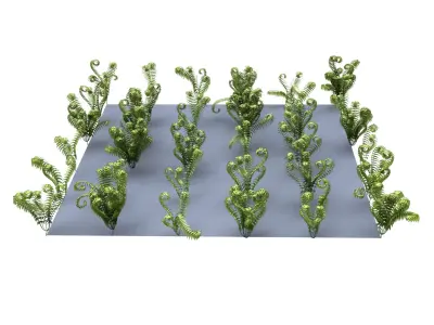 Fern ecosystems Pack 24 3D model