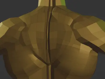Upper male body Free 3D model