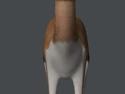 Gazelle antelope with long horns 3D model
