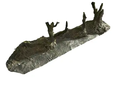  Ancient Forest Pack 16K 