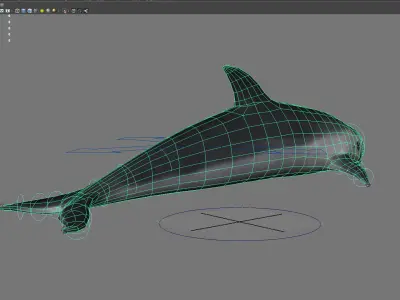 dolphin animal porpoise cetaceans whale marine dauphin 3D model
