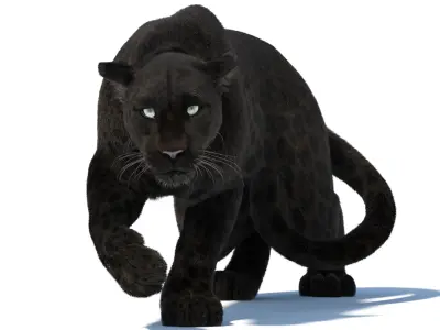 Animated Black Panther 3D Model with Fur 3D model