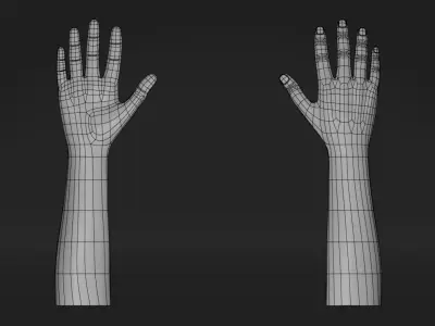 Realistic Hand-Rigged 3D model