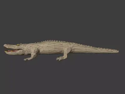LowPoly - Polygonal Crocodile Low-poly 3D model