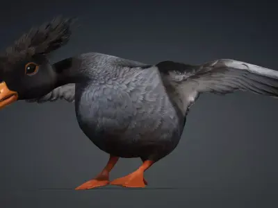 Duck-B5 3D model
