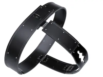 Female Chastity Belt 3D model