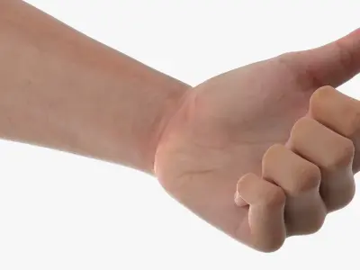 Realistic Hand Models of White Man Thumbs Up 3D model