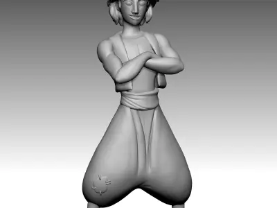 ALADDIN PACK 3D print model