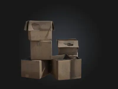 Cardboard Chaos  Cluttered Charm for Urban and Warehouse Scenes 3D model