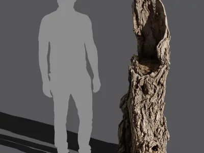  Tall Broken Gnarly Deciduous Stump Model 