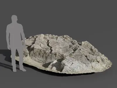  Large Layered Beach Rock Model  purchase