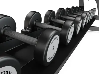 Technogym - Free Weight - Urethane Dumbbells 3D model