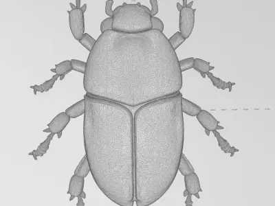 Cyber Art Beetle 3D model
