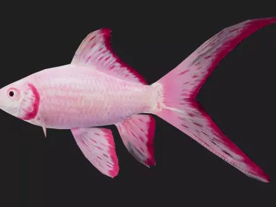 Carp fish Low-poly 3D model