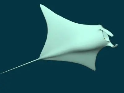 Stingray low-poly model manta ray 3D model