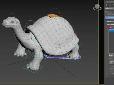 turtle rig  high-poly  3D model