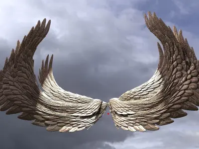 Colossal Angel Wings 3D model