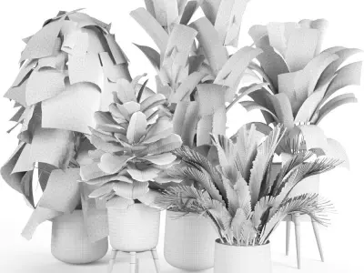 plant collection RPM 03 3D model