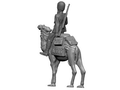  Camels in British army  3D print model