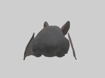 Sleeping Bat Model Low-poly 3D model