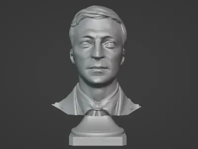 Volodymyr Zelensky 3D Printable Bust 3D print model
